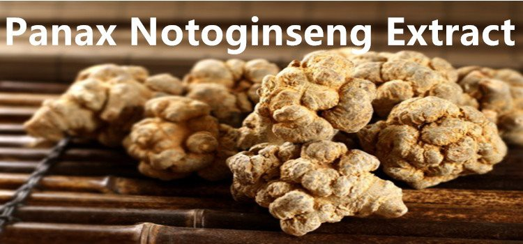 Panax Notoginseng Extract.png